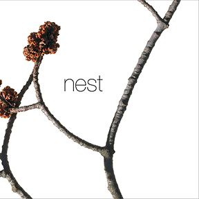 nest